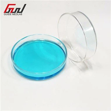 Laboratorium Glass Petri Dish 100mm